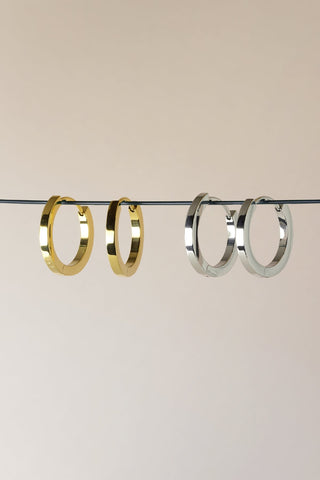 Titanium Earrings