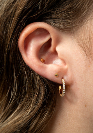 Cara Gold Titanium Pavé Hoop Earrings