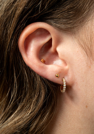 Cara Gold Titanium Pavé Hoop Earrings
