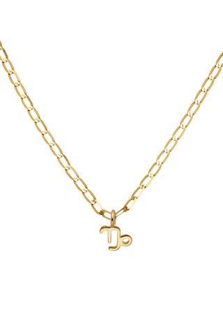 Nectar 9ct Solid Gold Capricorn Necklace - Gold