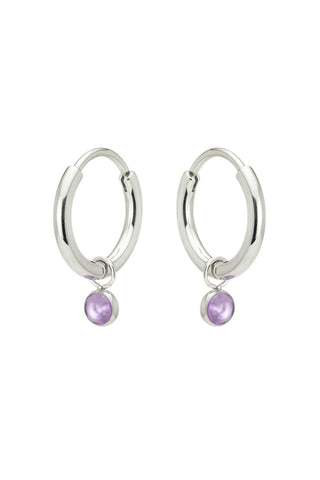 Platinum Titanium Hoop Earrings with Hanging Amethyst Charms
