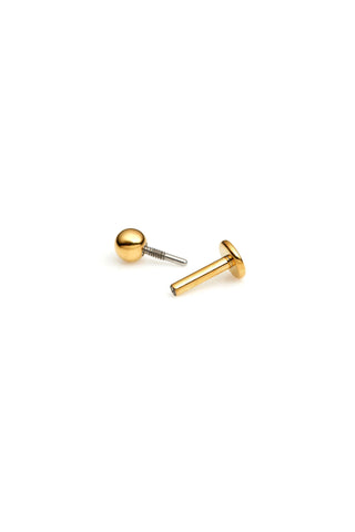 Gold Titanium Plain Ball Flat Back Stud Earring