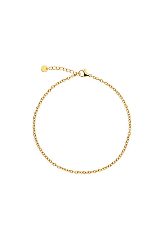 Gold Titanium Cable Chain Anklet