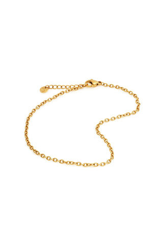 Gold Titanium Cable Chain Anklet