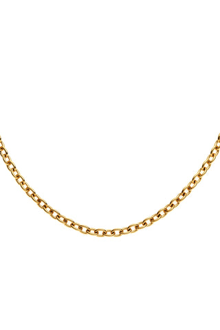 Gold Titanium Cable Chain Anklet