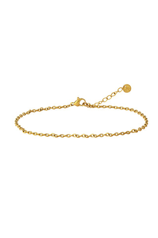 Gold Titanium Cable Chain Anklet