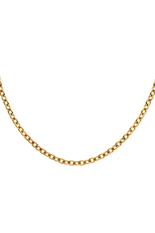Gold Titanium Cable Chain Bracelet