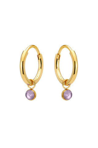 Gold Titanium Hoop Earrings with Hanging Amethyst Charms