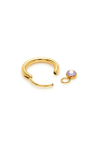 Gold Titanium Hoop Earrings with Hanging Amethyst Charms