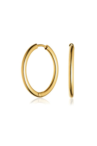 Gold Titanium Essential Hoop Earrings