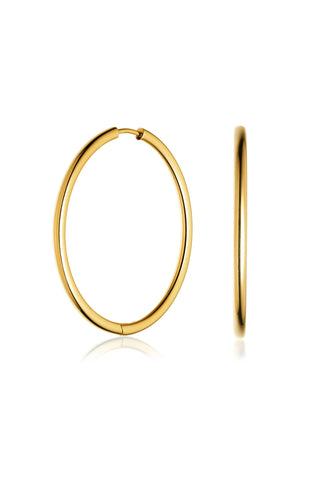 Gold Titanium Essential Hoop Earrings