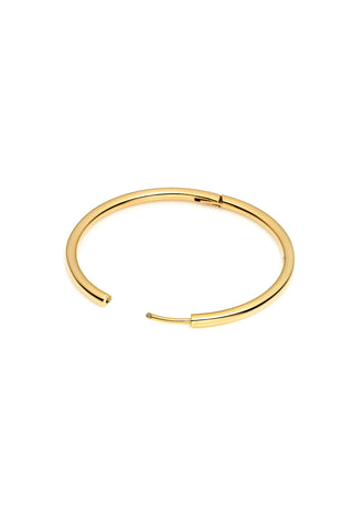 Gold Titanium Essential Hoop Earrings