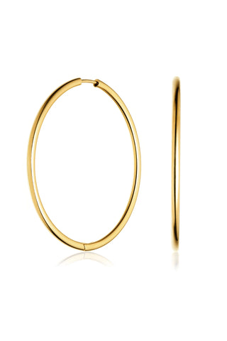 Gold Titanium Essential Hoop Earrings