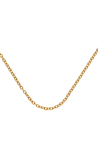 Gold Titanium Cable Chain Necklace