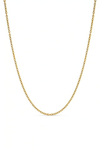 Gold Titanium Cable Chain Necklace