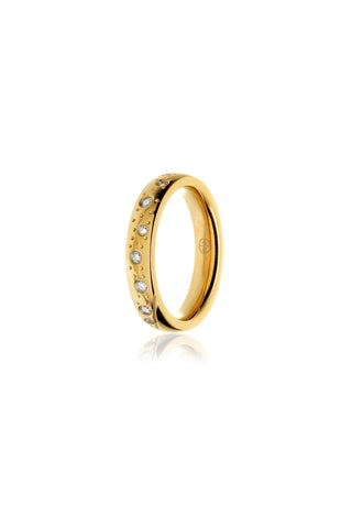 Gold Titanium Multi-Gemstone Ring