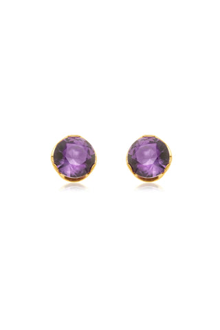 Gold Titanium Amethyst Stud Earrings